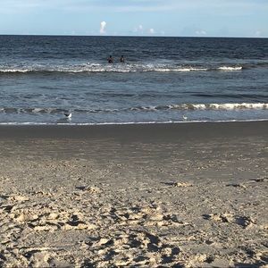 Meet your Posher, Caitlin